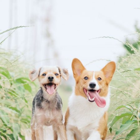 alvan-nee-1VgfQdCuX-4-unsplash alvan-nee-1VgfQdCuX-4-unsplash